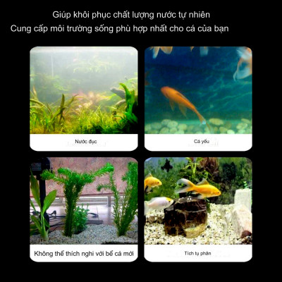 1KG Sứ Bi Lọc Nước Hồ Cá Cảnh | Vật Liệu Lọc Siêu Sạch Nước Bền Đẹp