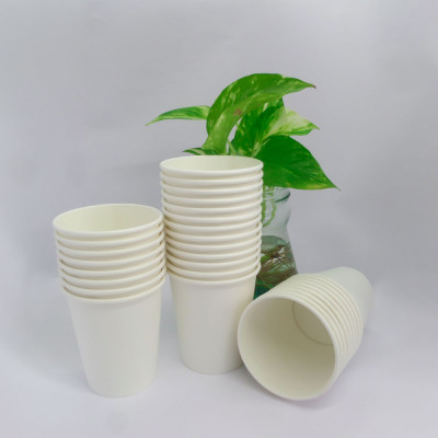 Ly giấy 6.5oz~192ml - Lốc 50 ly giấy trơn 