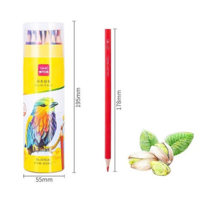 Bút chì màu chuyên nghiệp dạng cốc 24 MÀU Kèm Gọt