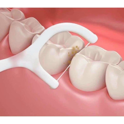 Phụ kiện nhà bếp phòng ăn - Combo  hộp 50 cây tăm chỉ nha khoa ,an toàn dễ sử dụng