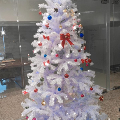 Cây thông noel màu trắng cao 2m - Cây cao cấp tán dày và rộng - Tặng dây kim tuyến và ngôi sao