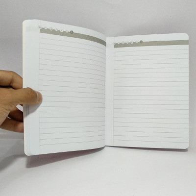 Sổ Tay Huyền Thoại Châu Âu - Michael Laudrup