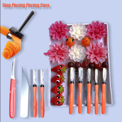  Combo 10 món dụng cụ - dao tỉa hoa quả nghệ thuật cao cấp