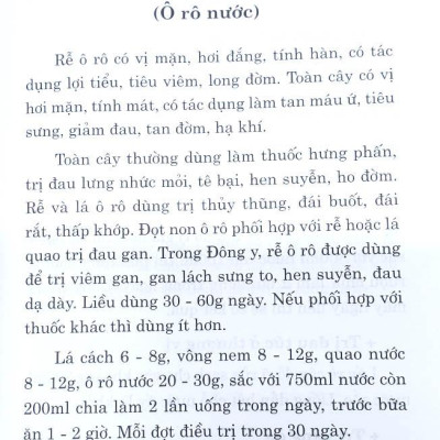 500 Bài Thuốc Hay Chữa Bệnh Theo Kinh Nghiệm Dân Gian (Tái Bản 2023)