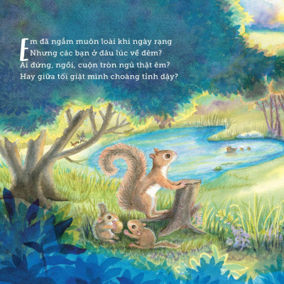 Ngủ Ấm Ngủ Êm - Đêm Nay Loài Vật Ngủ Nơi Nào?