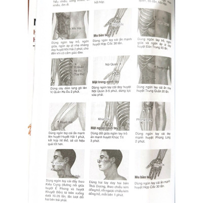 Massage Kinh Lạc Huyệt Vị Toàn Thư (Tái Bản) - Vanlangbooks
