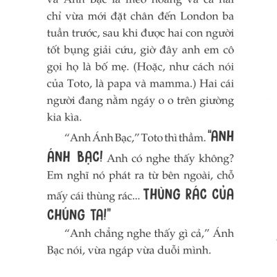 Toto - Cô Mèo Ninja