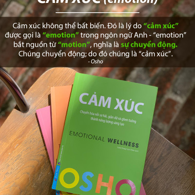 Sách - Combo 3 Cuốn OSHO : Yêu + Hiểu + Cảm Xúc