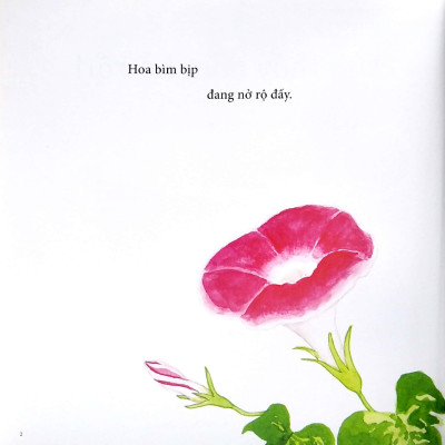 Ehon - Mọt Sách Mogu - Tìm Thấy Mùa Hè Rồi!