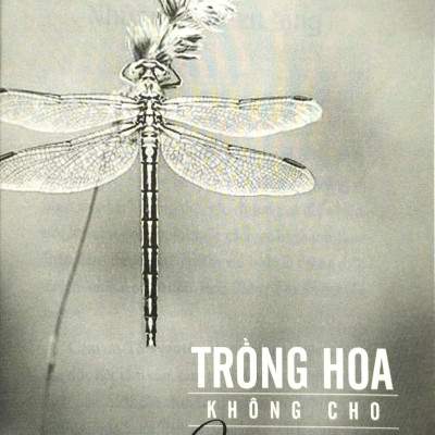 Trồng Hoa Không Cho Mọc Rễ (Tái Bản)