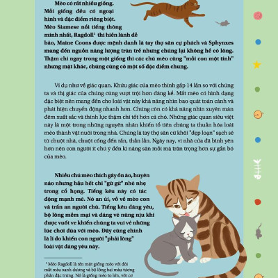 Câu Chuyện Về Loài Mèo