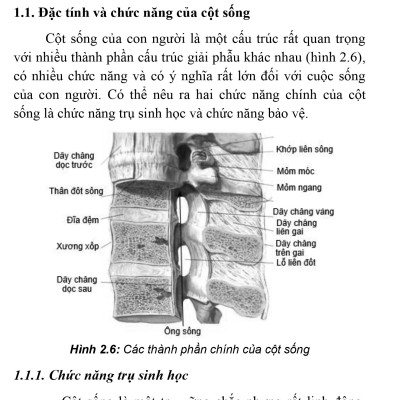 Thực Hành Lâm Sàng Thần Kinh Học - Tập 4: Chẩn Đoán Cận Lâm Sàng (Xuất bản lần thứ hai có sửa chữa, bổ sung)