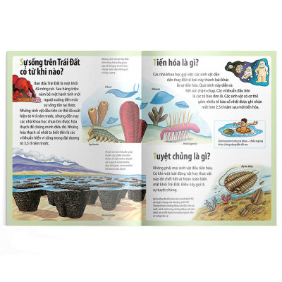 Em Muốn Biết Vì Sao Cá Mọc Chân Và Những Câu Hỏi Khác Về Thời Tiền Sử