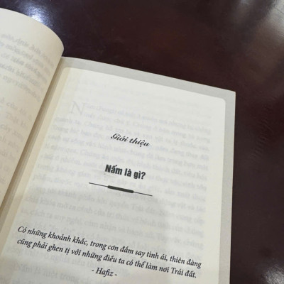 CUỘC ĐỜI CỦA NẤM – Merlin Sheldrake – Tiêu Linh dịch – Huy Hoang Bookstore – NXB Dân Trí