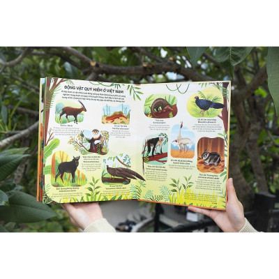 Sách - Khổng Lồ Về Động Vật Hoang Dã - Big Book Of Wild Animals - Đinh Tị Books
