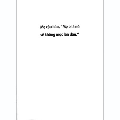 Hạt Giống Cà Rốt