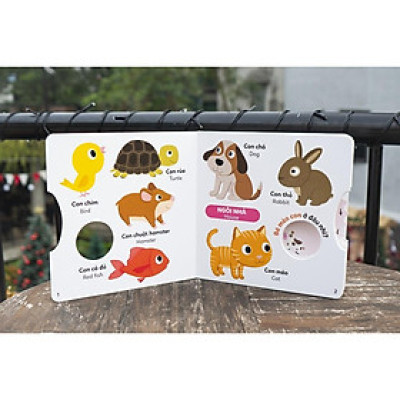 Sách - Xoay, Xoay, Xoay - Đi Tìm ... - Sách Tương Tác Cho Trẻ 0 - 6 Tuổi - Đinh Tị Books