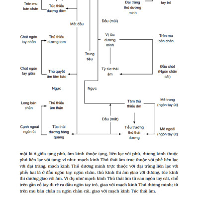 Trung Y Học Khái Luận (Quyển Thượng)