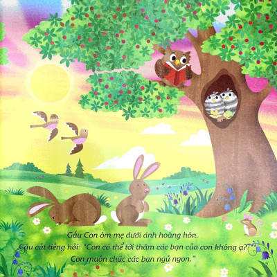 Ehon Châu Âu - Chúc Gấu Con Ngủ Ngon