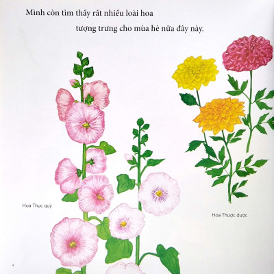 Ehon - Mọt Sách Mogu - Tìm Thấy Mùa Hè Rồi!