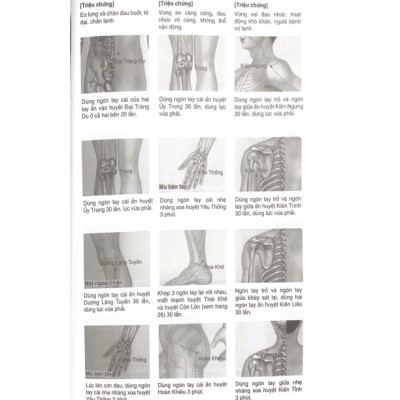 Massage Kinh Lạc Huyệt Vị Toàn Thư (Tái Bản) - Vanlangbooks