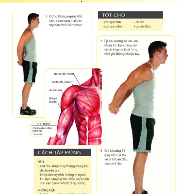 Khỏe Đẹp Với Các Bài Tập Cơ Bản