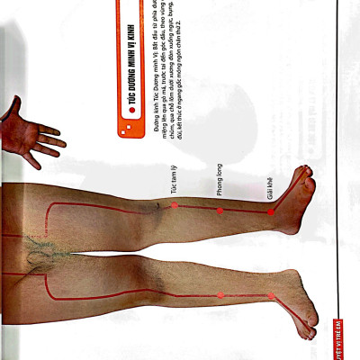 Sách - Đồ giải kinh lạc huyệt vị - Trẻ em