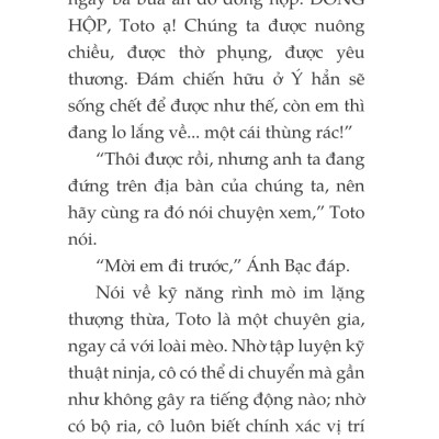 Toto - Cô Mèo Ninja