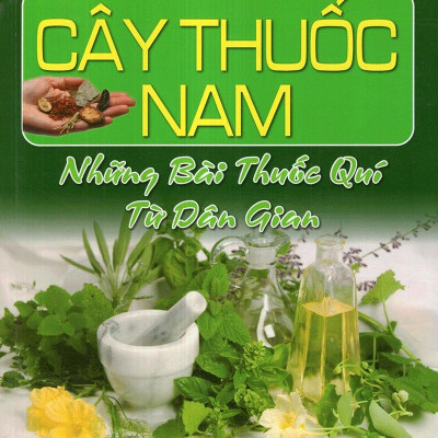 Cây Thuốc Nam - Những Bài Thuốc Quý Từ Dân Gian