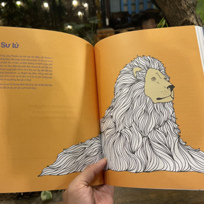 (Bìa mềm, minh hoa màu) THẤY GIỚI– SEEING GENDER –Iris Gottieh –Thục Linh dịch -NXB Phụ Nữ