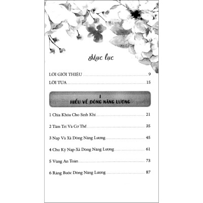 Dòng Năng Lượng Sinh Khí