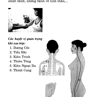 Day Ấn Xoa Bóp Trị Liệu 20 Bệnh Thường Gặp - VL