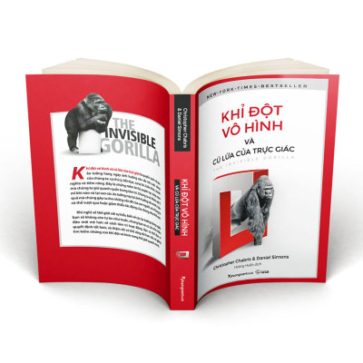 Sách Khỉ Đột Vô Hình Và Cú Lừa Của Trực Giác