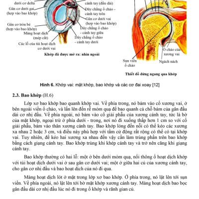 BENITO - Giải phẫu người (2023)