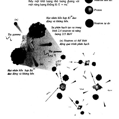 Vũ Trụ Trong Vỏ Hạt Dẻ - TRE