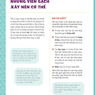 Tớ Muốn Biết Tuốt - Giải Phẫu Cơ Thể Người