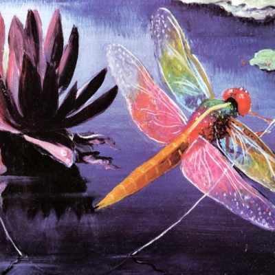 Những Cuộc Phiêu Lưu Của Dabo (Tập 2) - Báu Vật Trong Đền Cổ