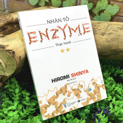 Nhân Tố Enzyme - Thực Hành