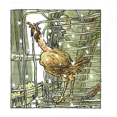 Cô Gà Mái Xổng Chuồng