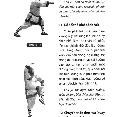 Thiếu Lâm Tự Quyền Phổ Tập 2 - Tâm Ý Môn