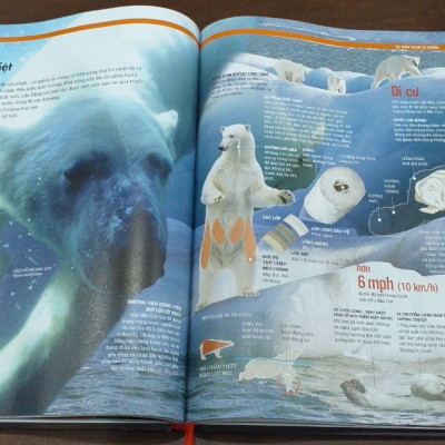 Combo sách Ai cập cổ đại và sách Trái đất ( bộ 2 cuốn ) - Tổng hợp kiến thức về khoa học tự nhiên và lịch sử - Á Châu Books bìa cứng in màu