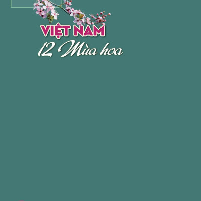 Việt Nam 12 Mùa Hoa