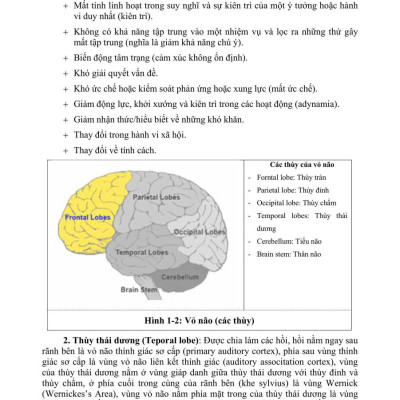 Sách - PHỤC HỒI CHỨC NĂNG CHẤN THƯƠNG NÃO