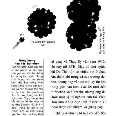 Vũ Trụ Trong Vỏ Hạt Dẻ - TRE