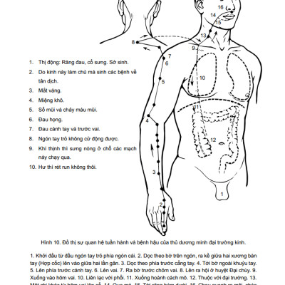 Trung Y Học Khái Luận (Quyển Thượng)