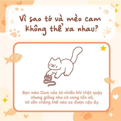 Sách - Tớ Có Nuôi Một Chú Mèo Cam - Megabook