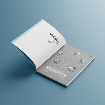 Định Luật Murphy - Khám Phá Năng Lượng Cảm Xúc Tích Cực