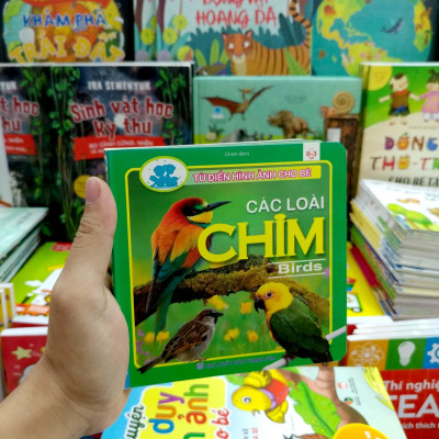 Từ Điển Hình Ảnh Cho Bé - Các Loài Chim