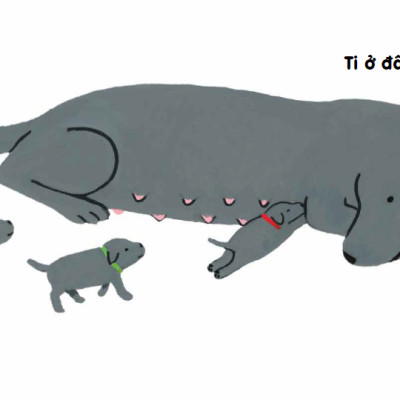 Ehon - Mọt Sách Mogu - Ti Đâu? Ti Đâu? (Từ 0 - 6 Tuổi)