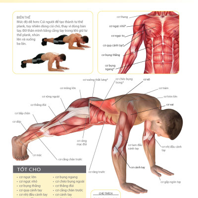 Khỏe Đẹp Với Các Bài Tập Cơ Bản